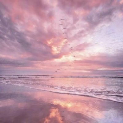 开云注册·官方网站